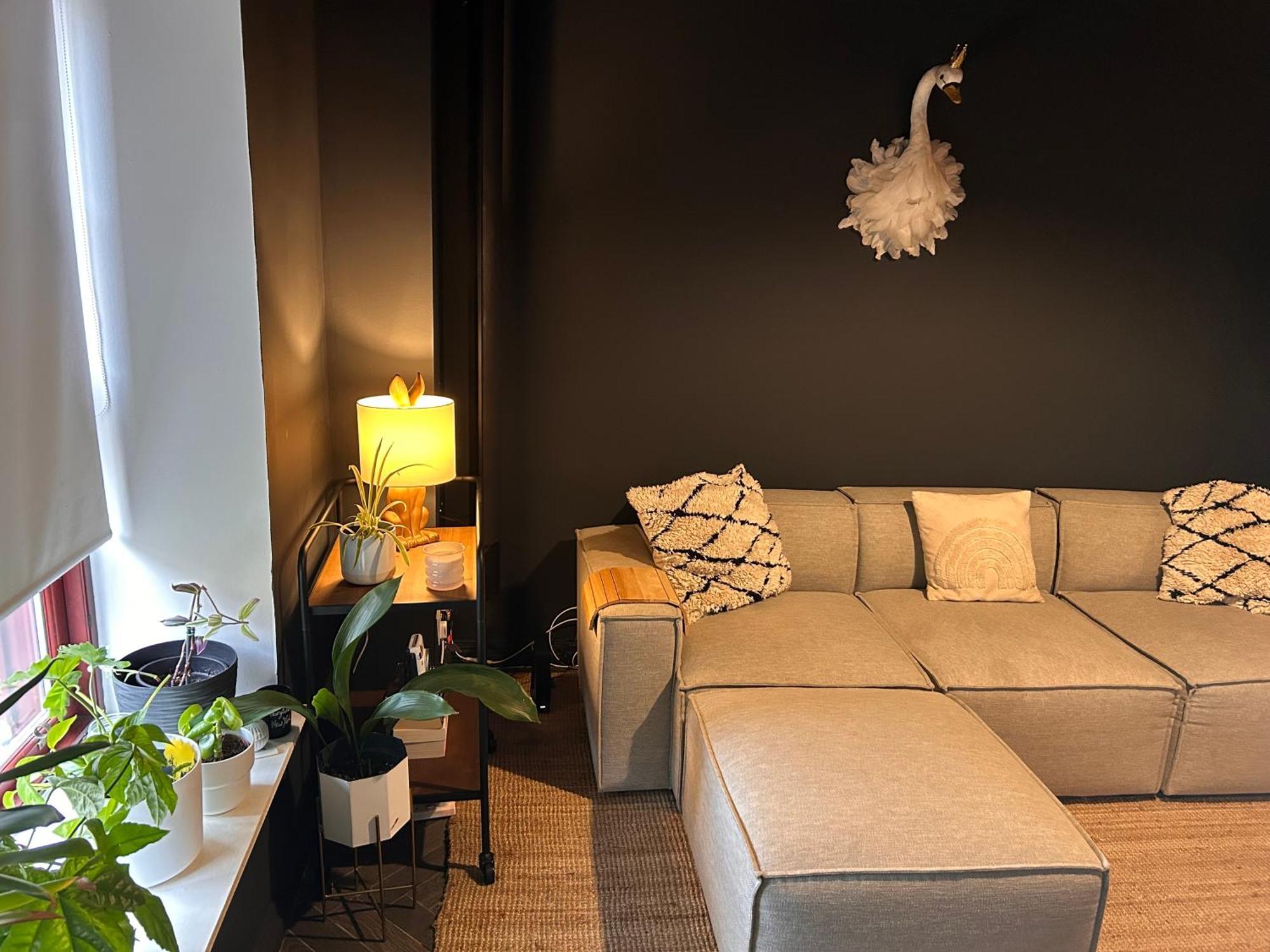 Apartment Old School Cosy Nook Near School Of Art 1brapt *